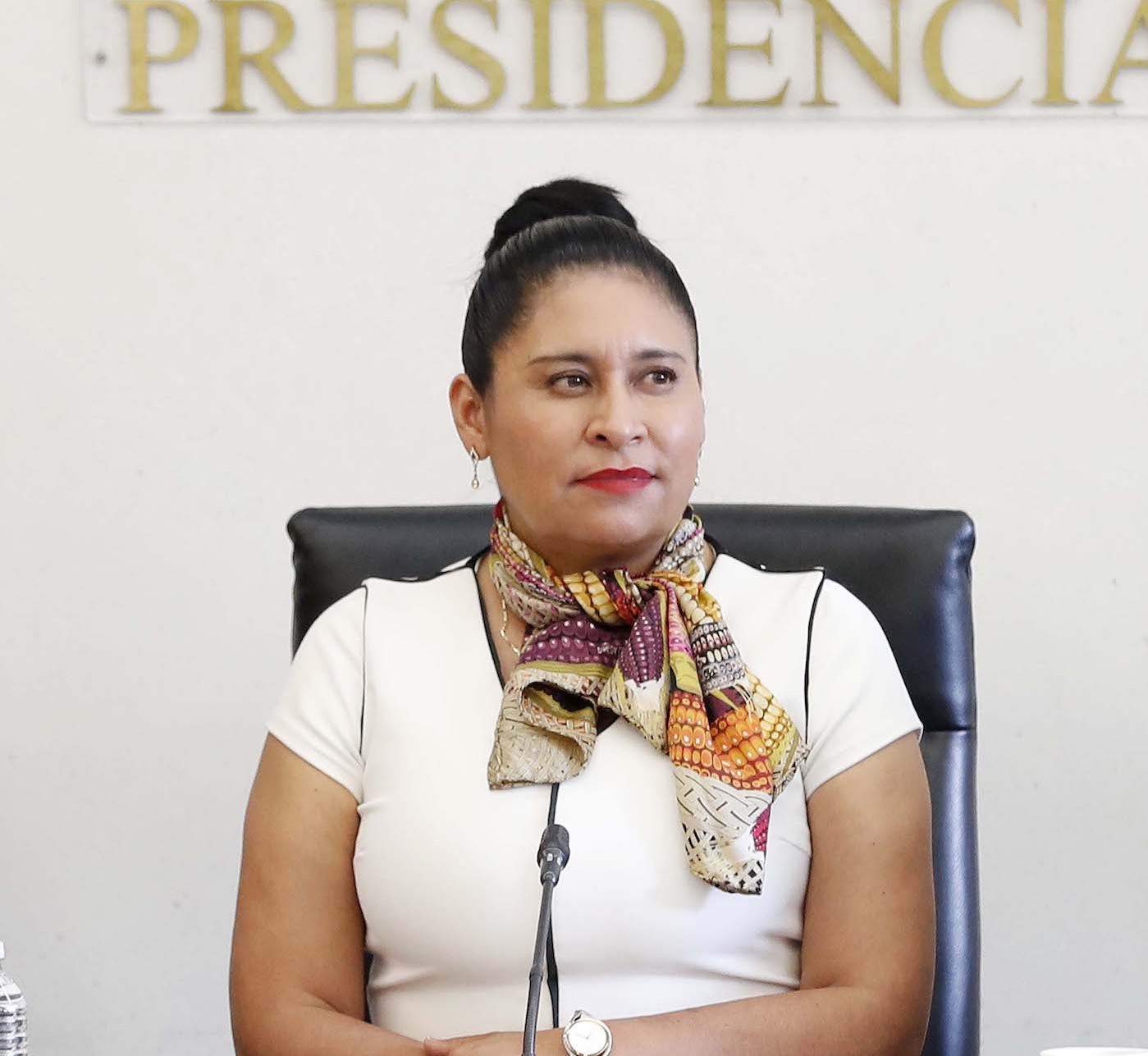 Describe La Senadora Ana Lilia Rivera Actividades Del Pleno